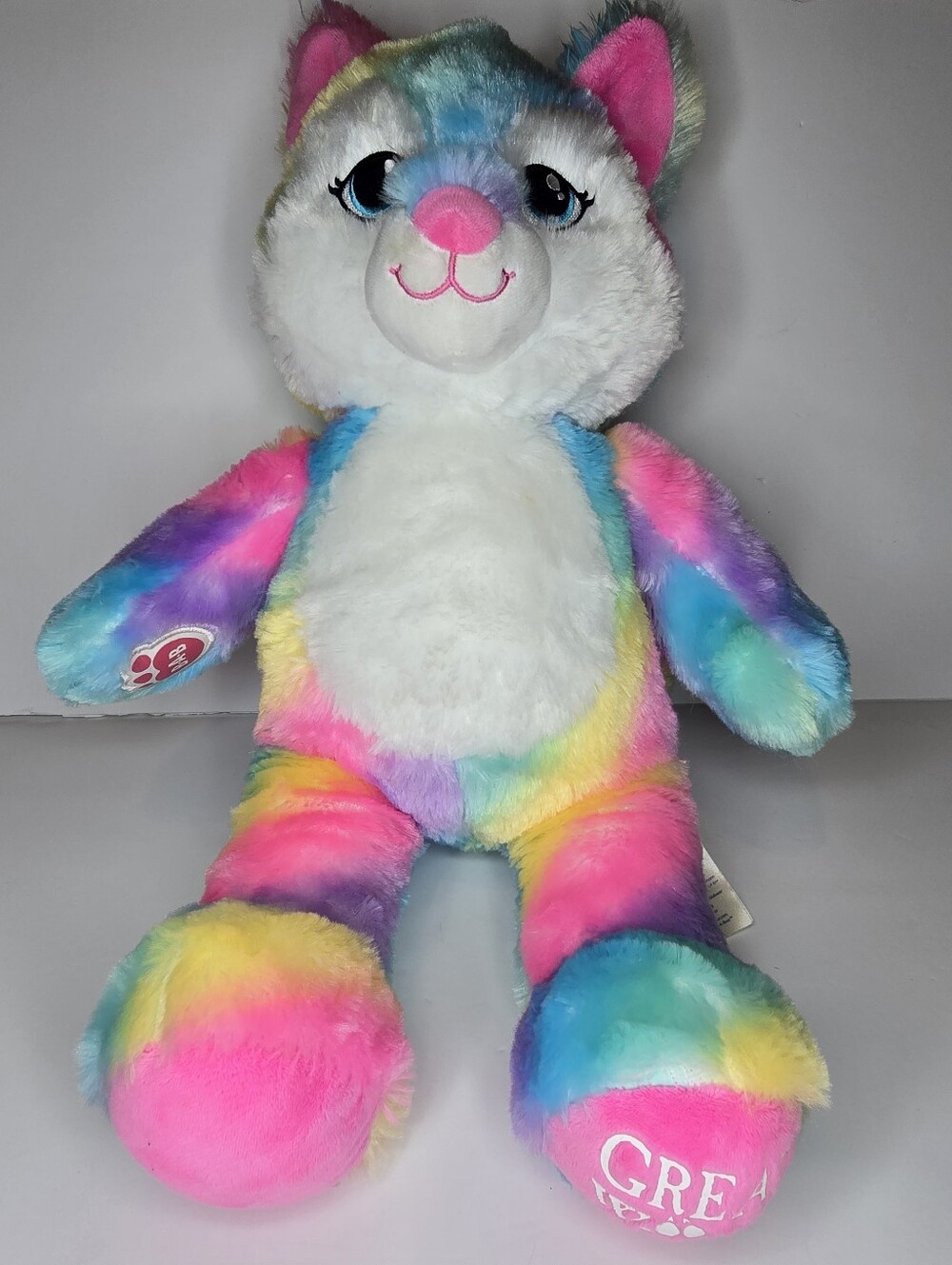 Build A Bear Rainbow Tie Dye Plush Great Wolf Lodge Stuffed Animal Colorful 17"